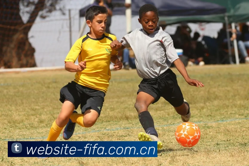 2026世界杯买球生态全景