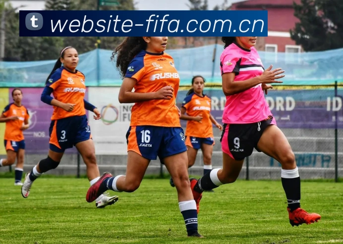 安全防护可视化示意